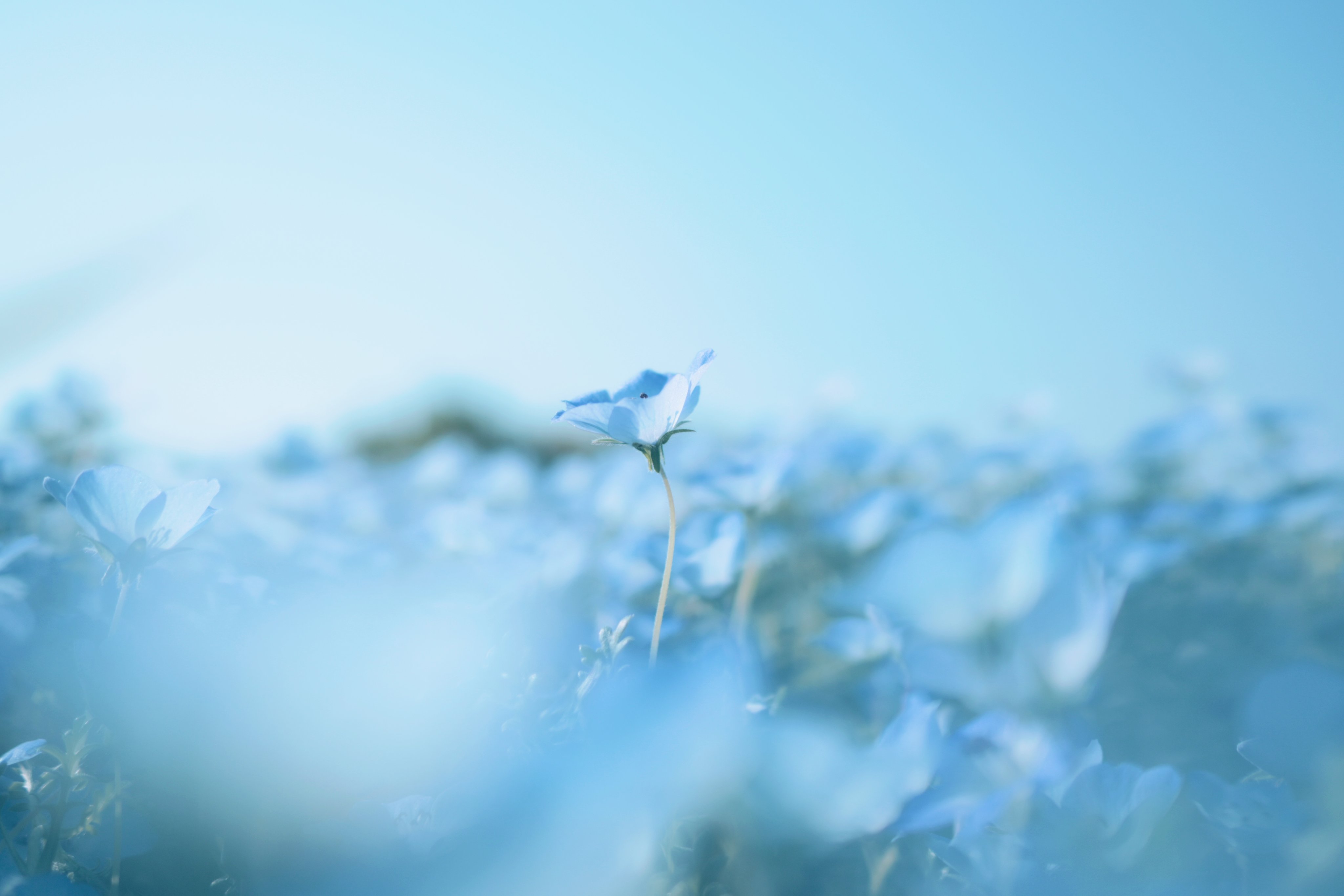 IMG_0420.jpeg